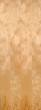 Facroy Direct Doors Birch Doors - Flush Hollow and Solid Core 1 3/8 and 1 3/4