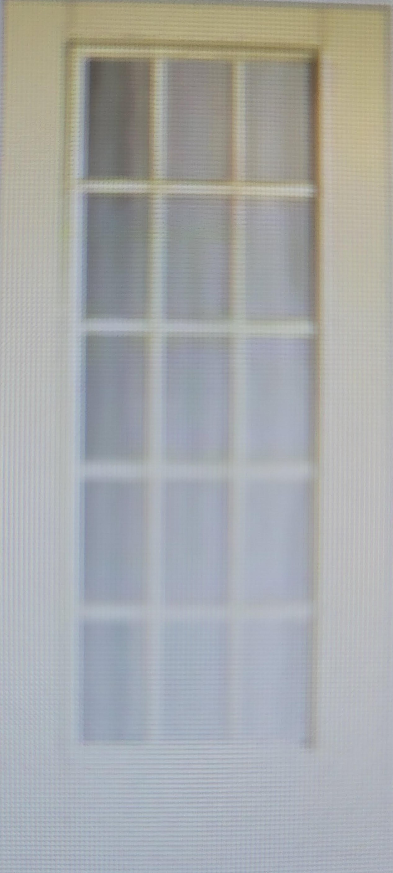 Facroy Direct Doors 15 lite exterior door